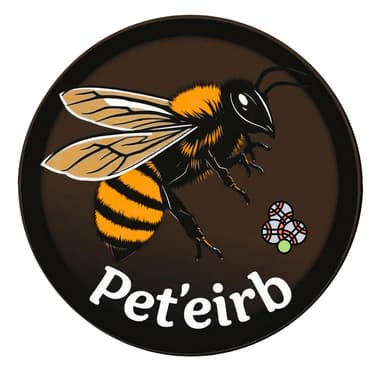 Pet'Eirb