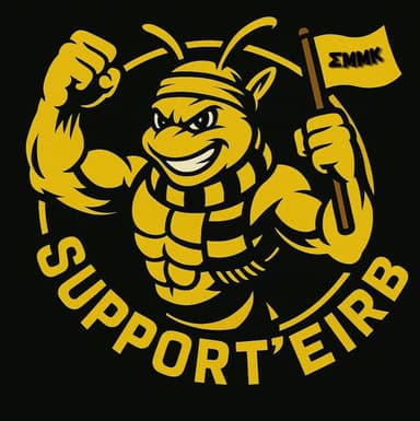 Support'Eirb