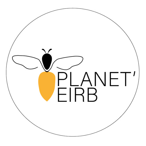 logo_Planet'eirb