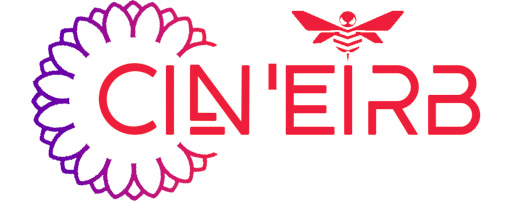 logo_Cin'eirb